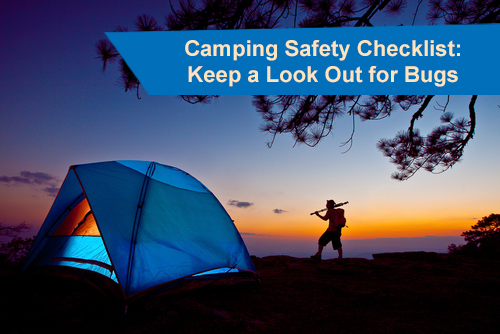 Camping? Keep a Look Out for Ticks and Bugs