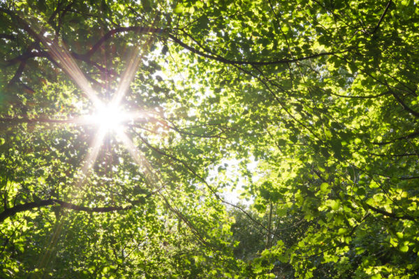 UV Index Scale: Sun Safety