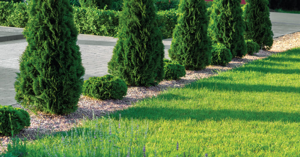 landscaping on a summer day