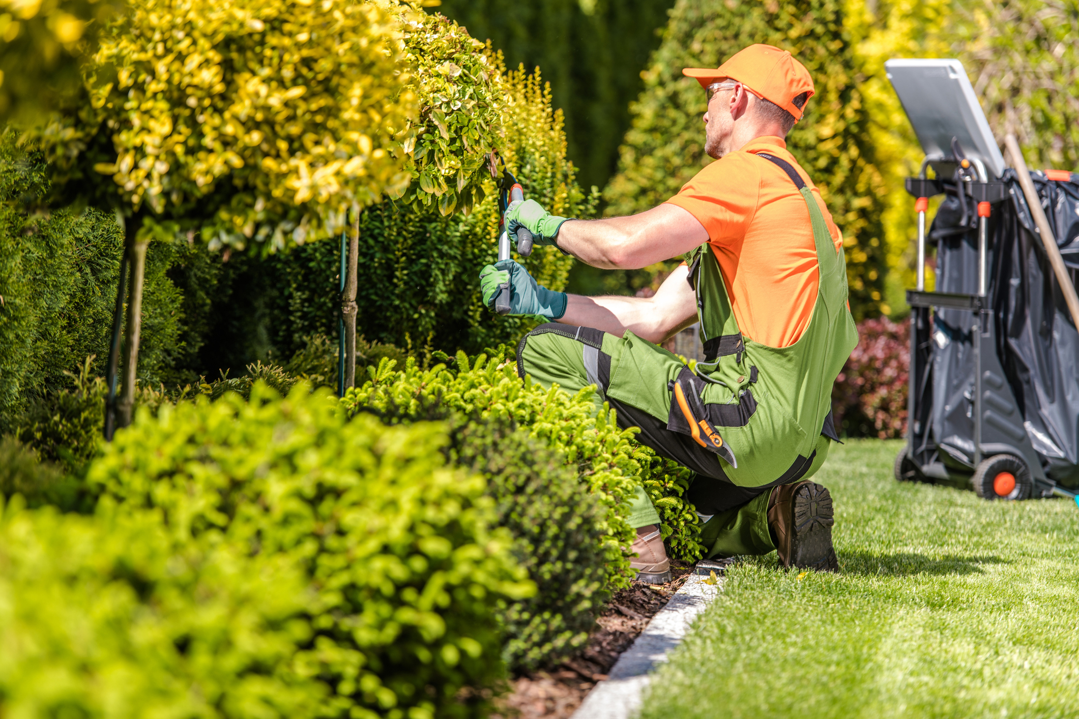 Landscaping Safety