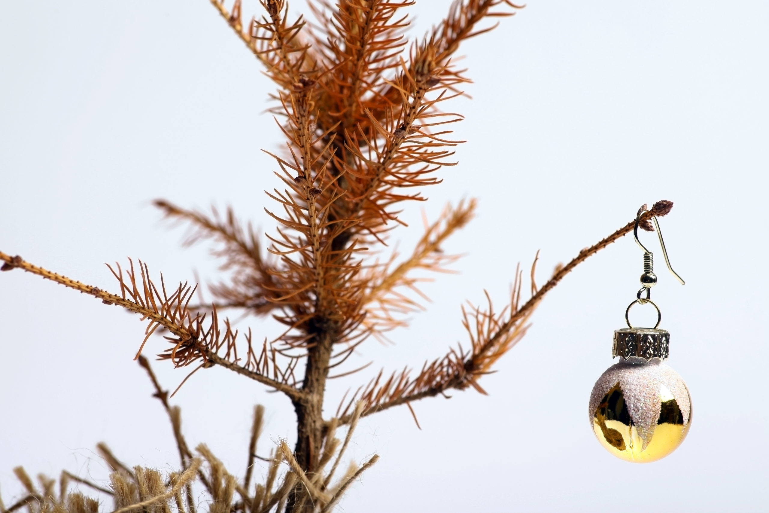 20 Tips for Christmas Tree Fire Safety