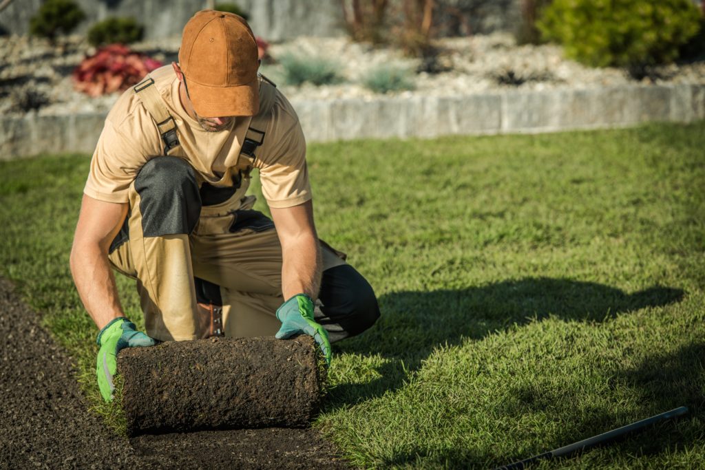 landscaper contractor insurance