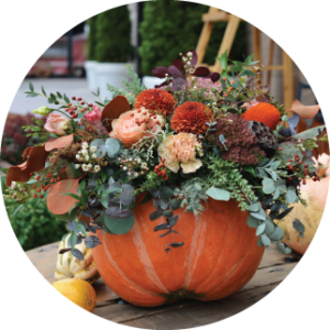 Halloween floral arrangement in pumpkin at florist business on halloween