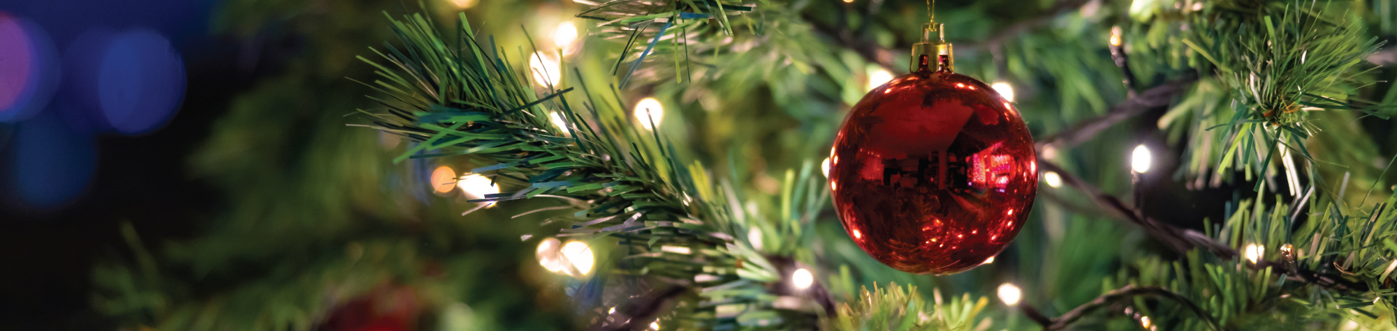 10 Tips for Christmas Tree Fire Safety