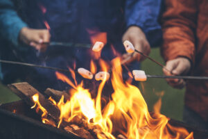 People roasting marshmallows at backyard fire