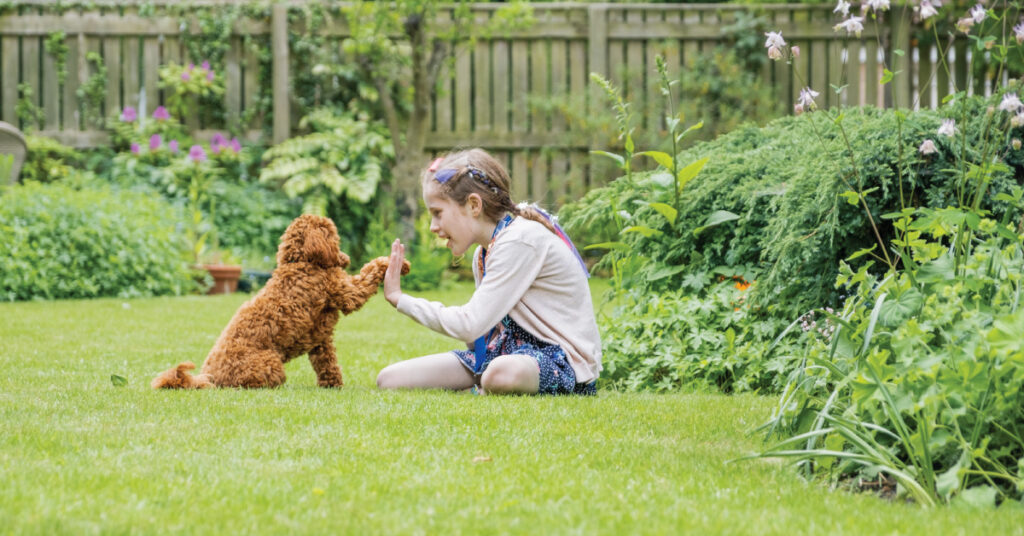 Girl and dog in backyard