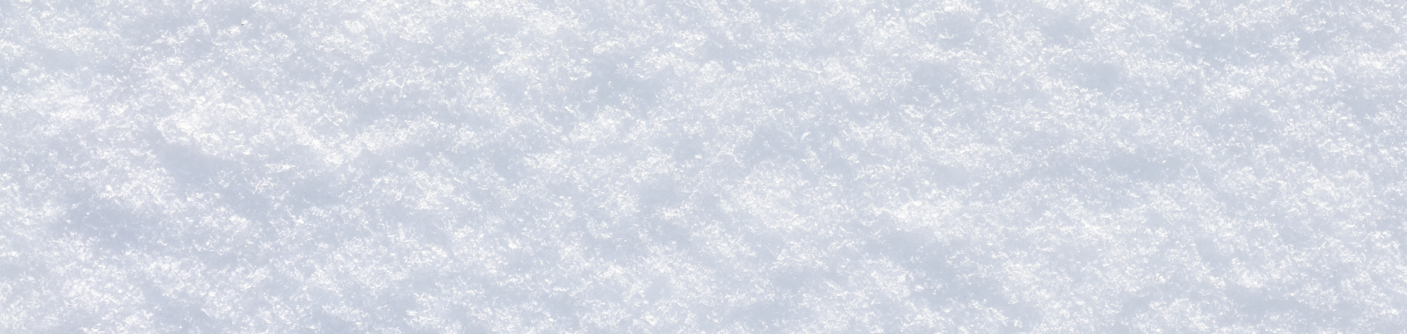 Protected: Prepare Your Snow Plow Business For Winter