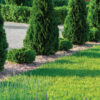 trees and grass near a driveway of a landscaped property